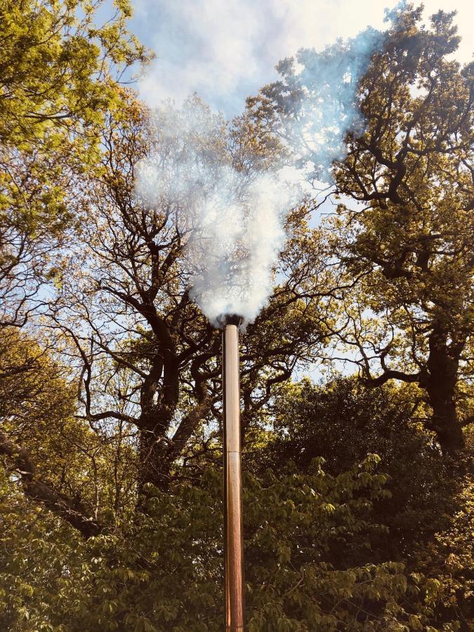 Herringfleet Somerleyton Meadows - The Hideaway Hut & Hot Tub المظهر الخارجي الصورة